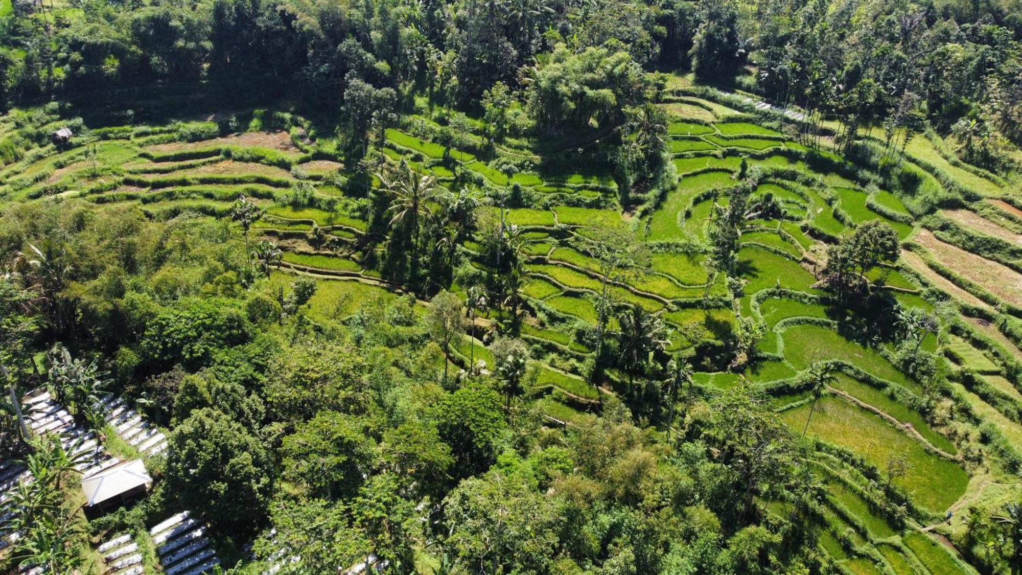 Nan Bungalows Tetebatu Exteriér fotografie