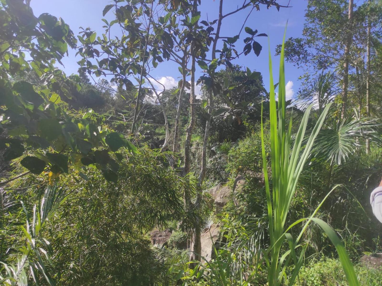 Nan Bungalows Tetebatu Exteriér fotografie