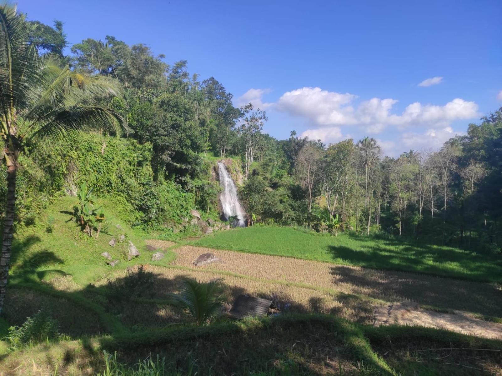 Nan Bungalows Tetebatu Exteriér fotografie