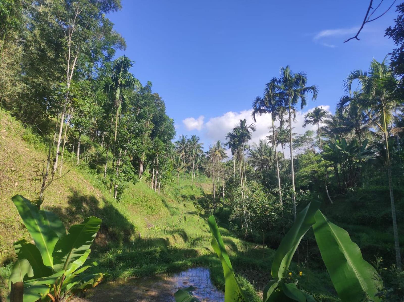 Nan Bungalows Tetebatu Exteriér fotografie