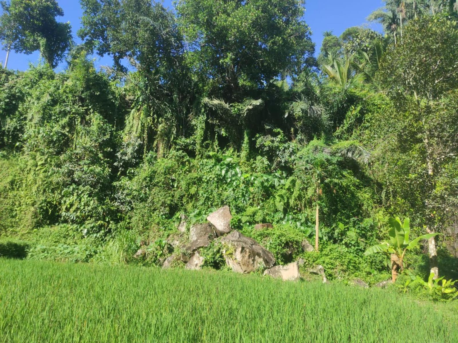 Nan Bungalows Tetebatu Exteriér fotografie